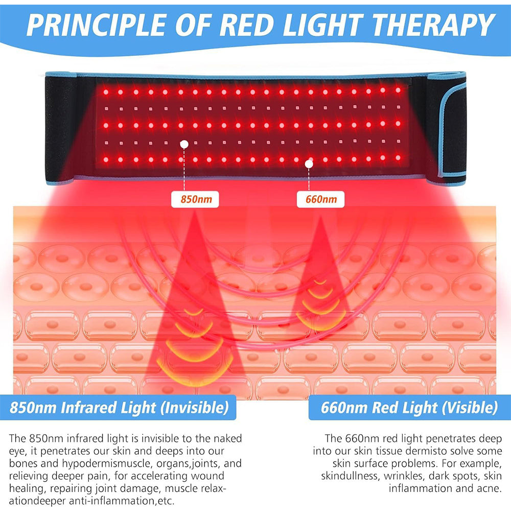 Red Light Therapy Belt