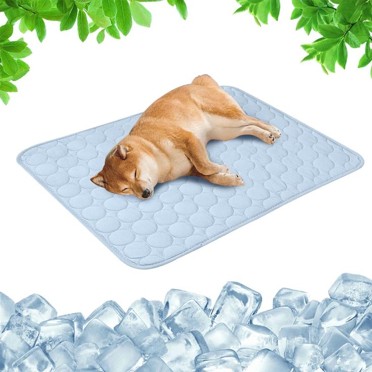 Cooling pad – PetCool Pad 100x70 cm