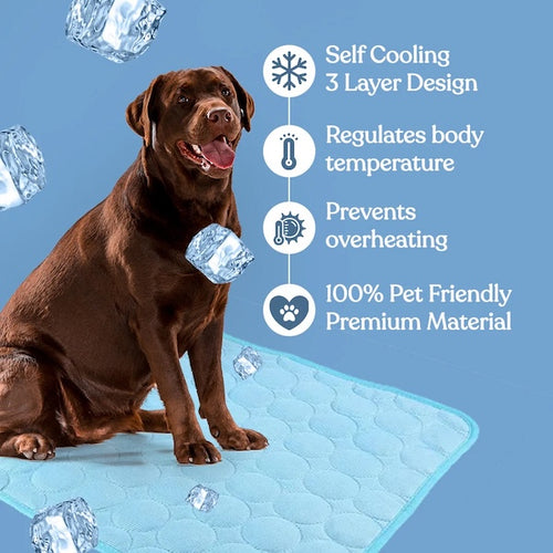 Cooling pad – PetCool Pad 100x70 cm